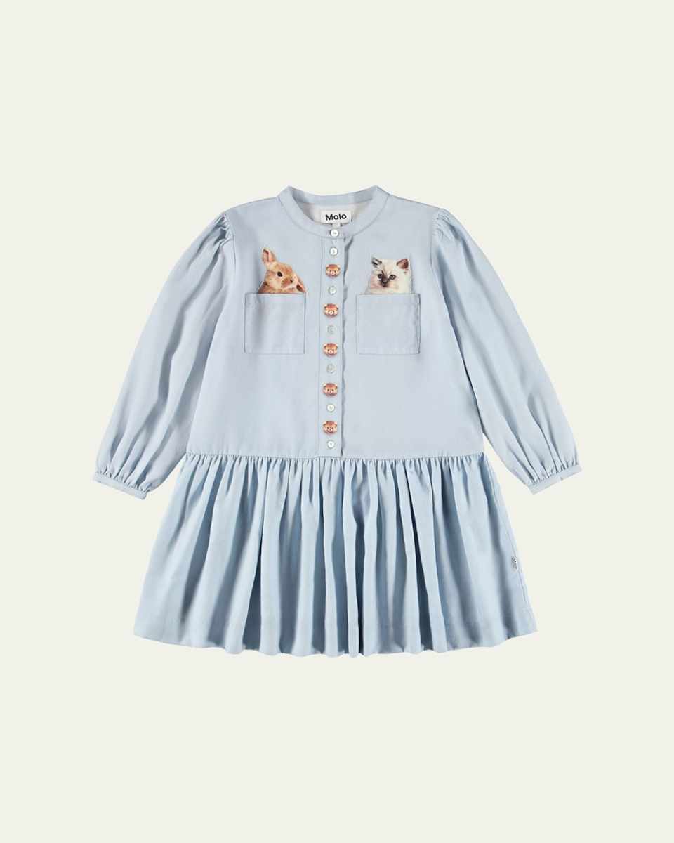Girl's Clara Pocket Pets Button-Front Dress, Size 2T